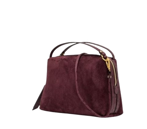 Gianni Chiarini  Borsa   BS 8628  ALIFA   AMARONE