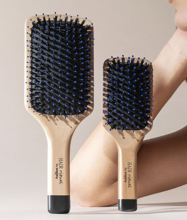 Sisley La Brosse De Poche Brillance & Douceur