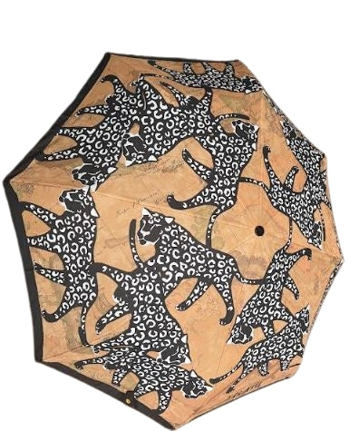 Alviero Martini 1a Classe  Ombrello Mini  1030