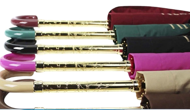 Alviero Martini 1a Classe  Ombrello Lungo Verdone Logo Oro