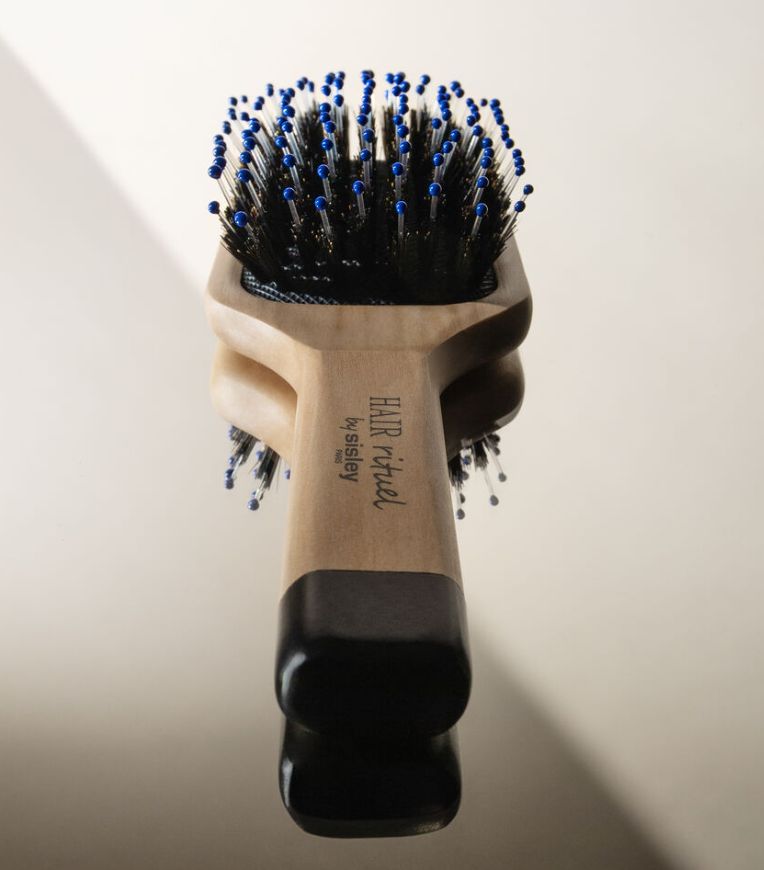 Sisley La Brosse De Poche Brillance & Douceur