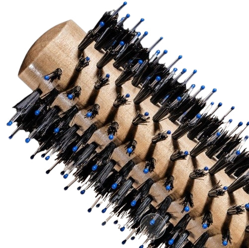 Sisley La Brosse  à Brushing N. 1